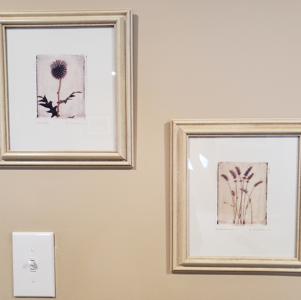 Set of two framed wall art pictures